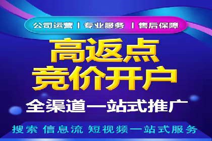 某某sem代运营公司：精准投放的背后策略